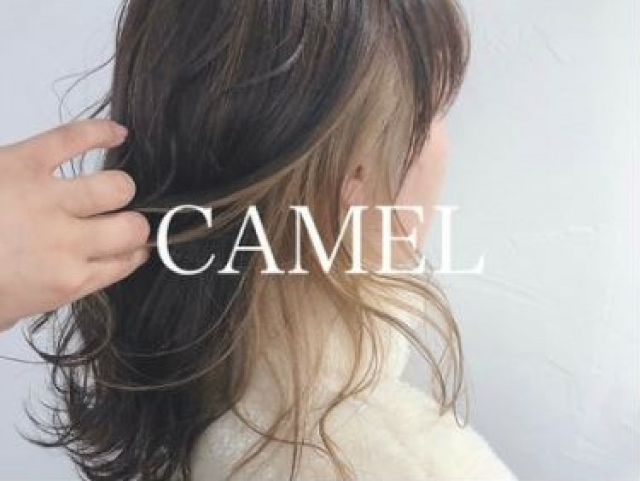CAMEL【キャメル】